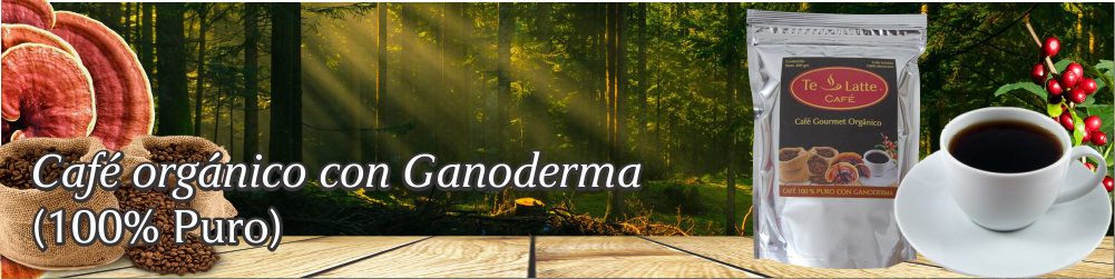 Te Latte Café - Te latte Cafe Puro Con Ganoderma Lucidum